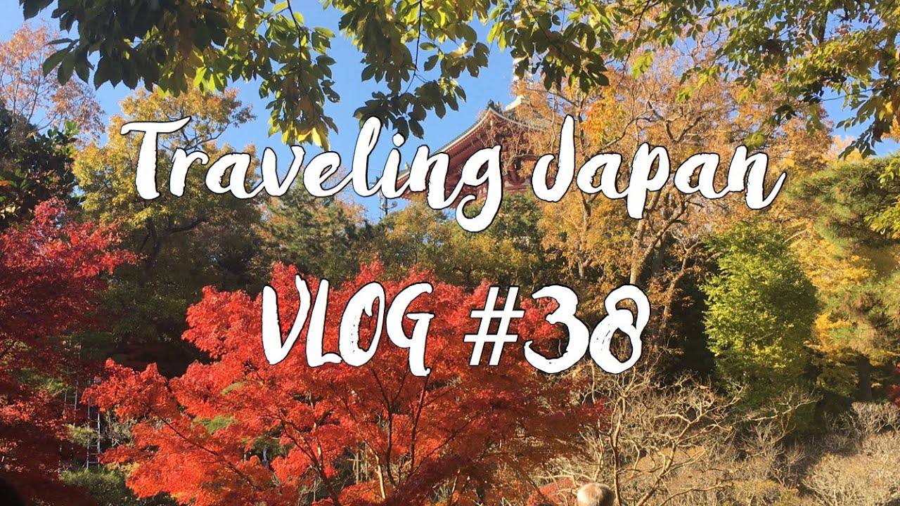 Vlog 38 - Narita Shrine