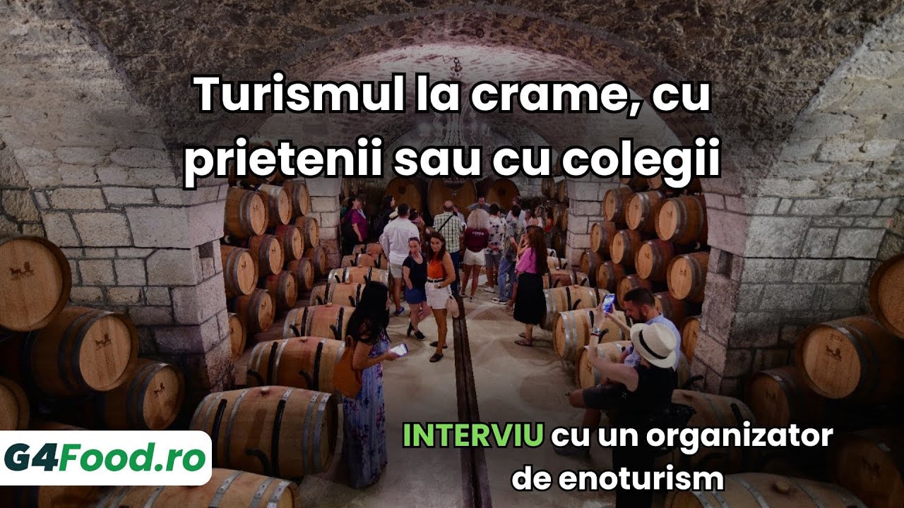 Interviu cu Ovidiu Logigan, organizator de enoturism (turism la crame)