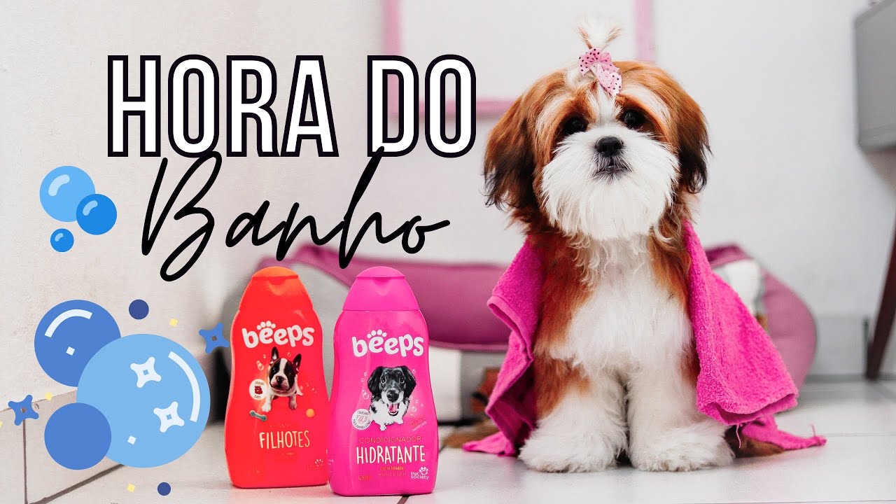 COMO DOU BANHO EM CASA NA MINHA SHIH TZU (Zoe 🐶♥️) | Monique Nicassio