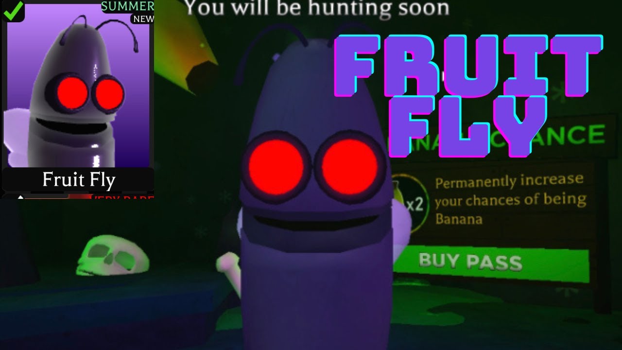 (banana eats) fruit fly