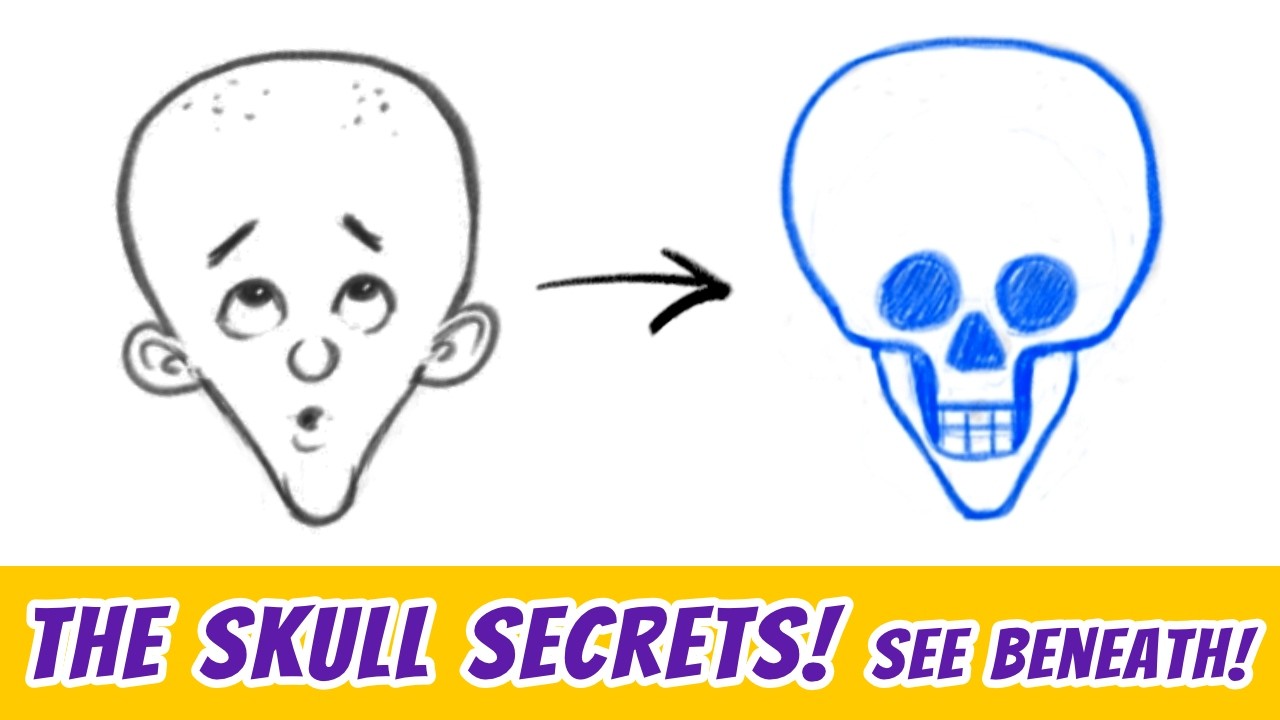 How To Draw Cartoon Head Structure: Easy Exaggeration Tips for Beginners