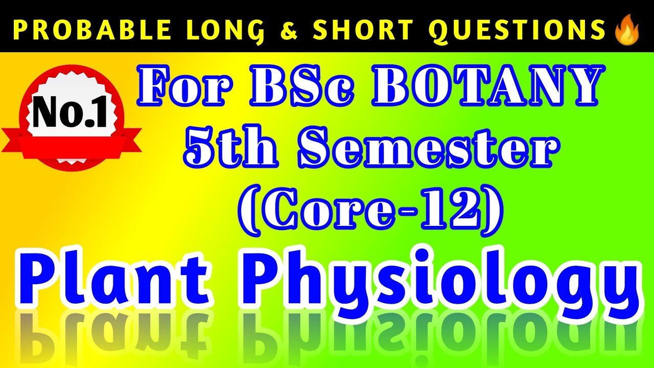 Most Important LONG & SHORT QUESTIONS 🔥||BOTANY 5th SEMESTER||CORE-12:Plant Physiology||Must watch✌️
