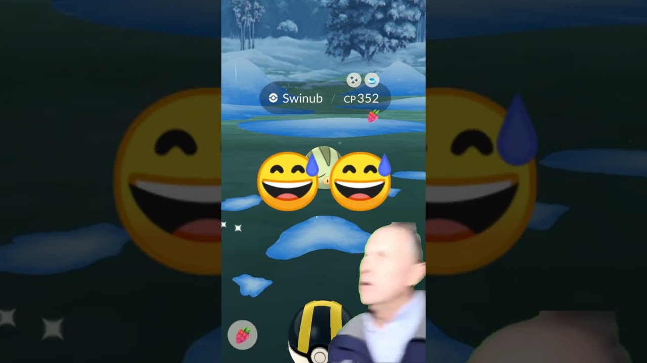 Caught a shiny Swinub off an incense!!! (Pokemon GO)