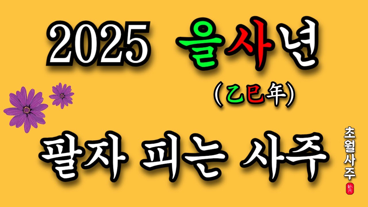 [2025년 운세] 을사년 팔자 피는 사주!