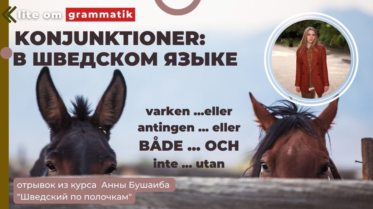 Шведский язык. Как не путать: antingen ...eller / varken ... eller/ inte ... utan / både ...och