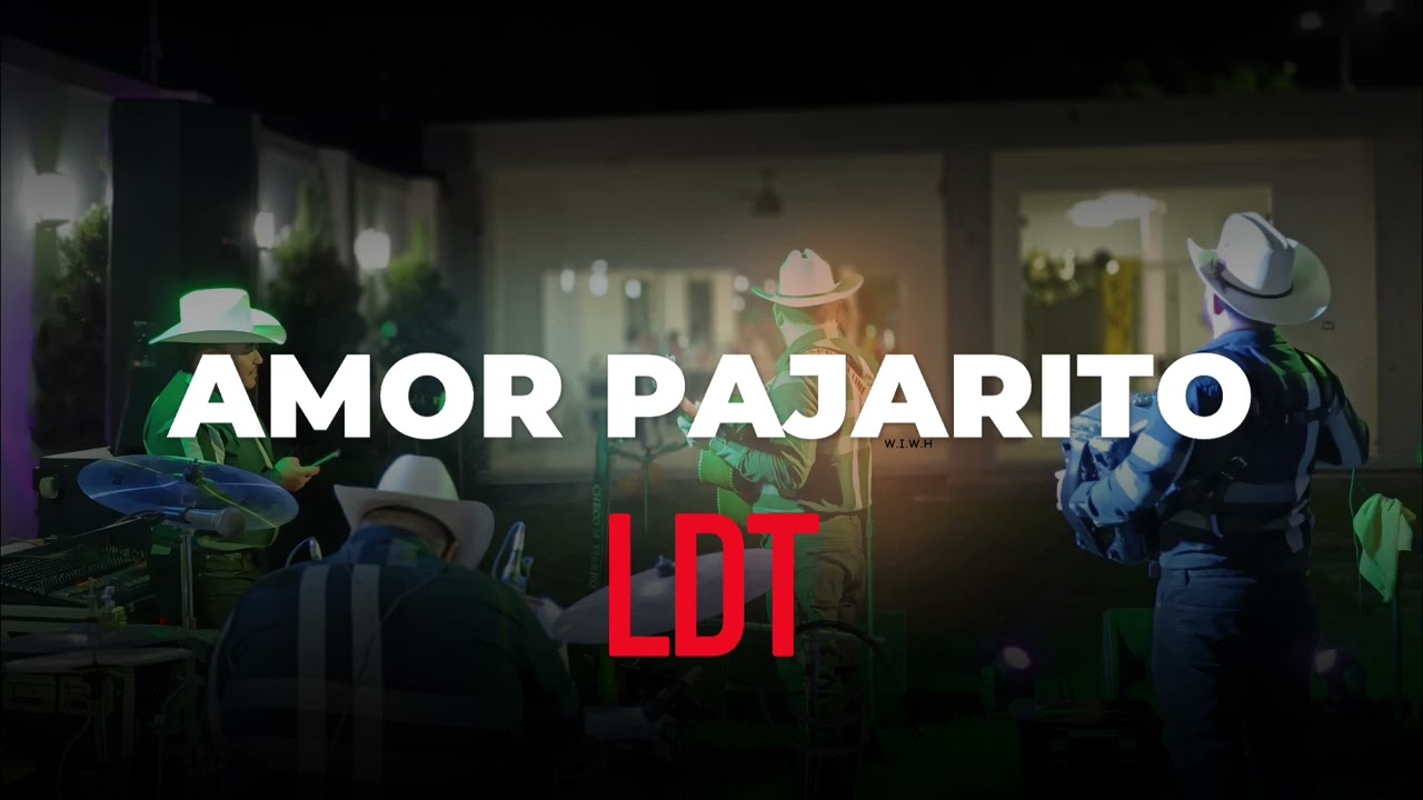AMOR PAJARITO - LDT (Album cover de calidad)