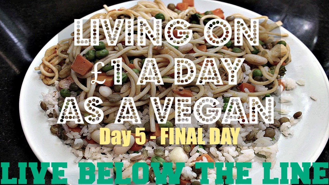 VEGAN £1 A DAY CHALLENGE ep.5 (FINAL DAY - Live Below the Line) ♥ Cheap Lazy Vegan