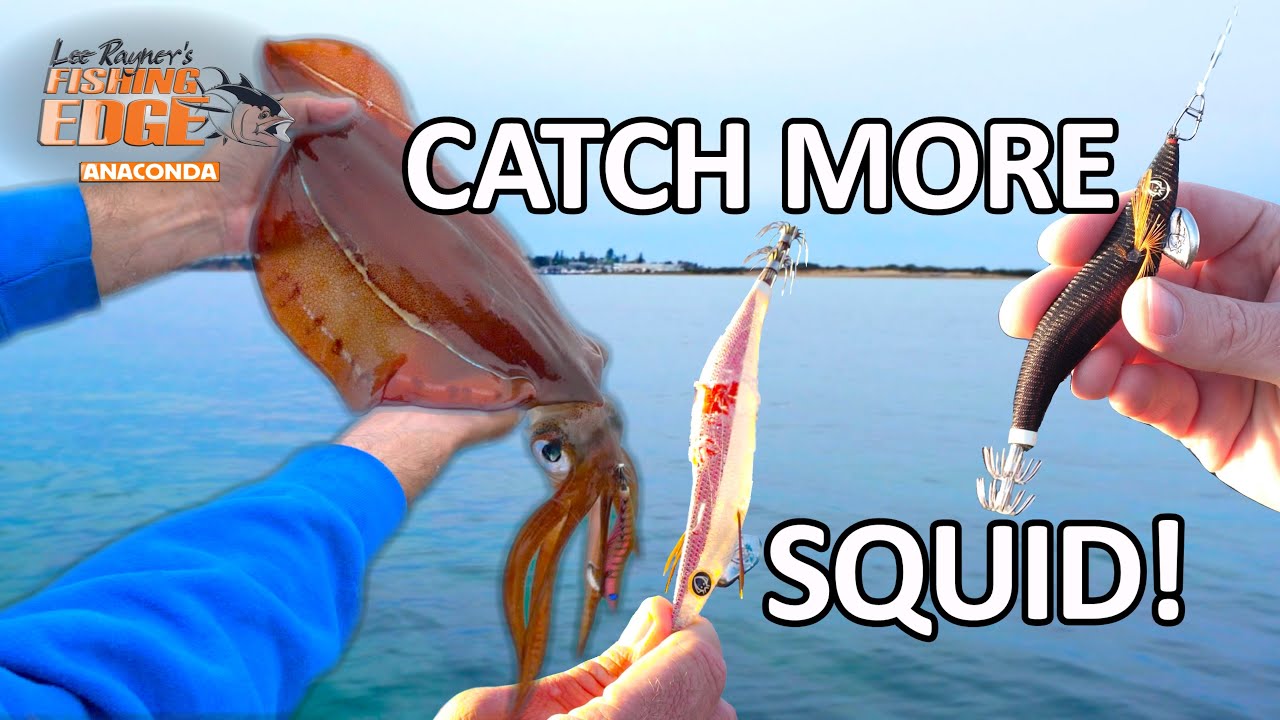 Learn how to catch more squid