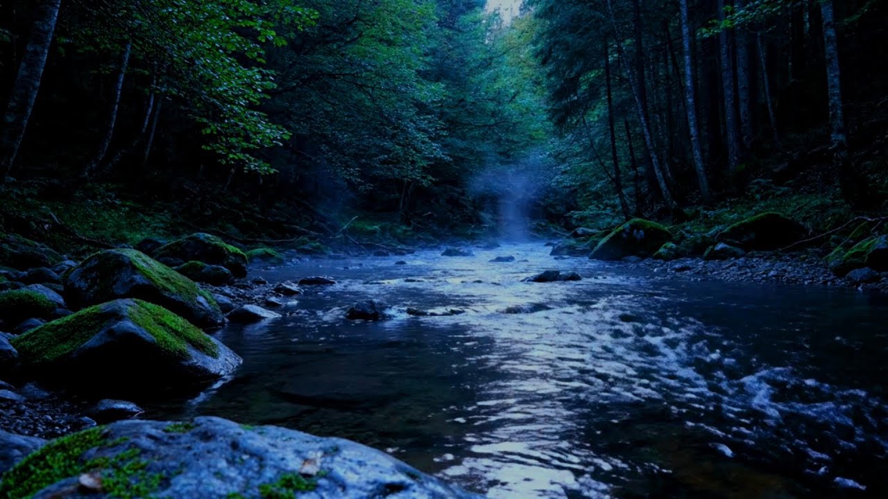 Tranquil River Water Ambience | Relaxing Nature ASMR for Sleep, Study & Calm Mind