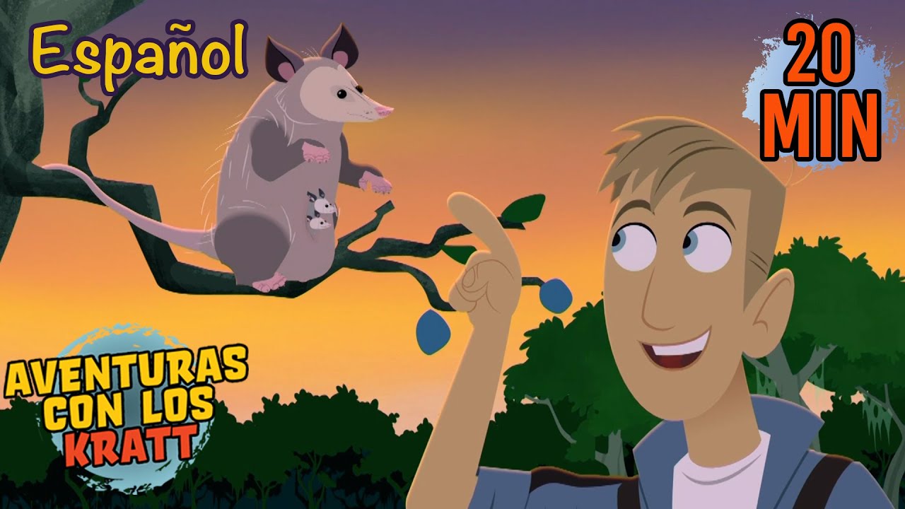 La zarigüeya | Temporada 3 [episodio completo] Aventuras con los Kratt