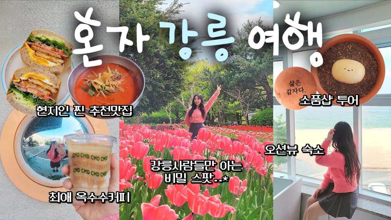 강릉 살던 사람이 알려주는📒🔥 실패없는 1박2일 강릉여행💙 바다뷰숙소•옥수수커피•현지인맛집•튤립명소•좋았던곳•카페추천