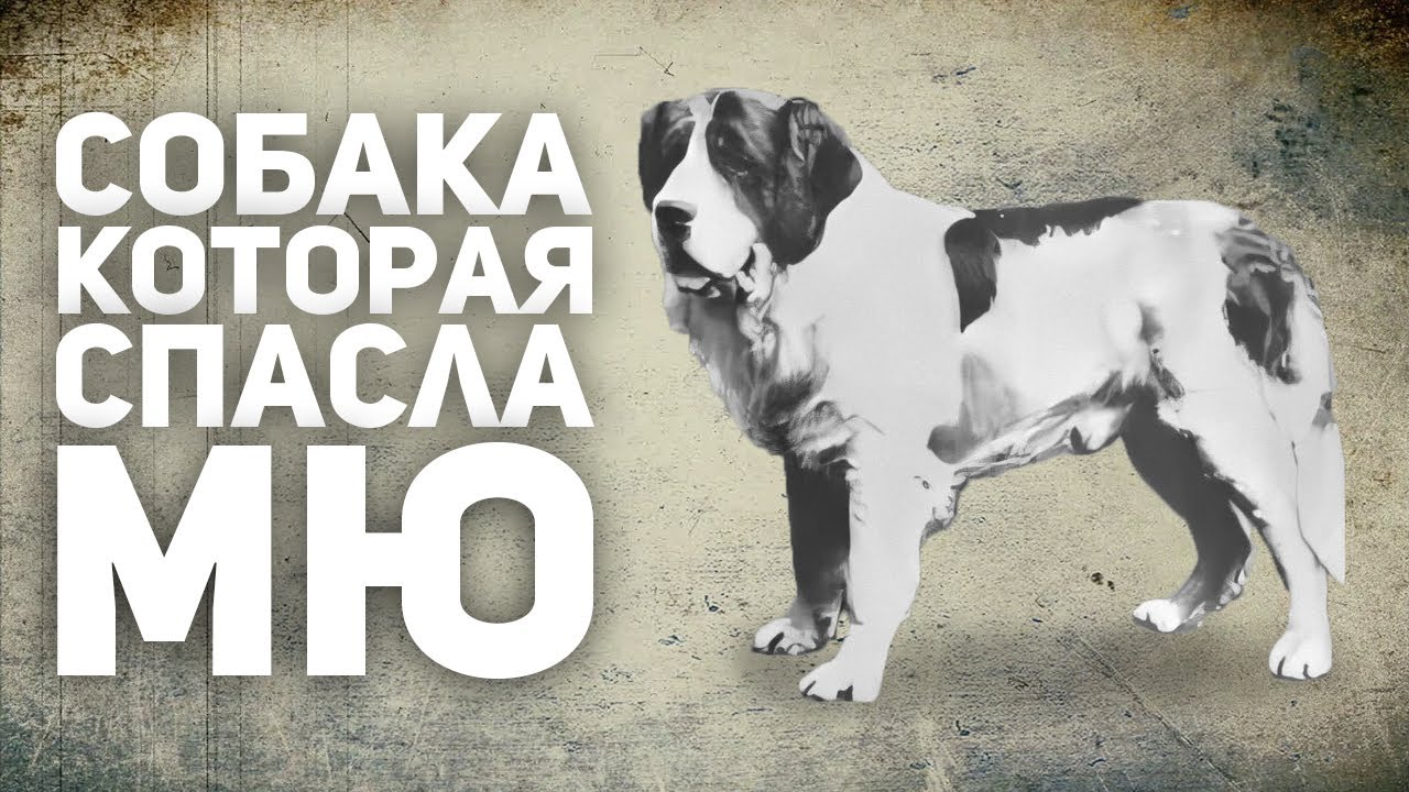 Как собака СПАСЛА Манчестер Юнайтед! | НЕРАССКАЗАННЫЕ ПОДРОБНОСТИ!