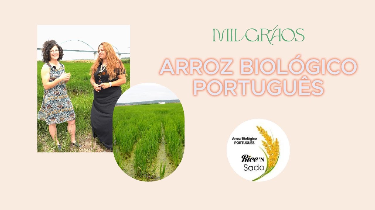 Macrobiótica: Rice N'Sado Arroz Biológico português