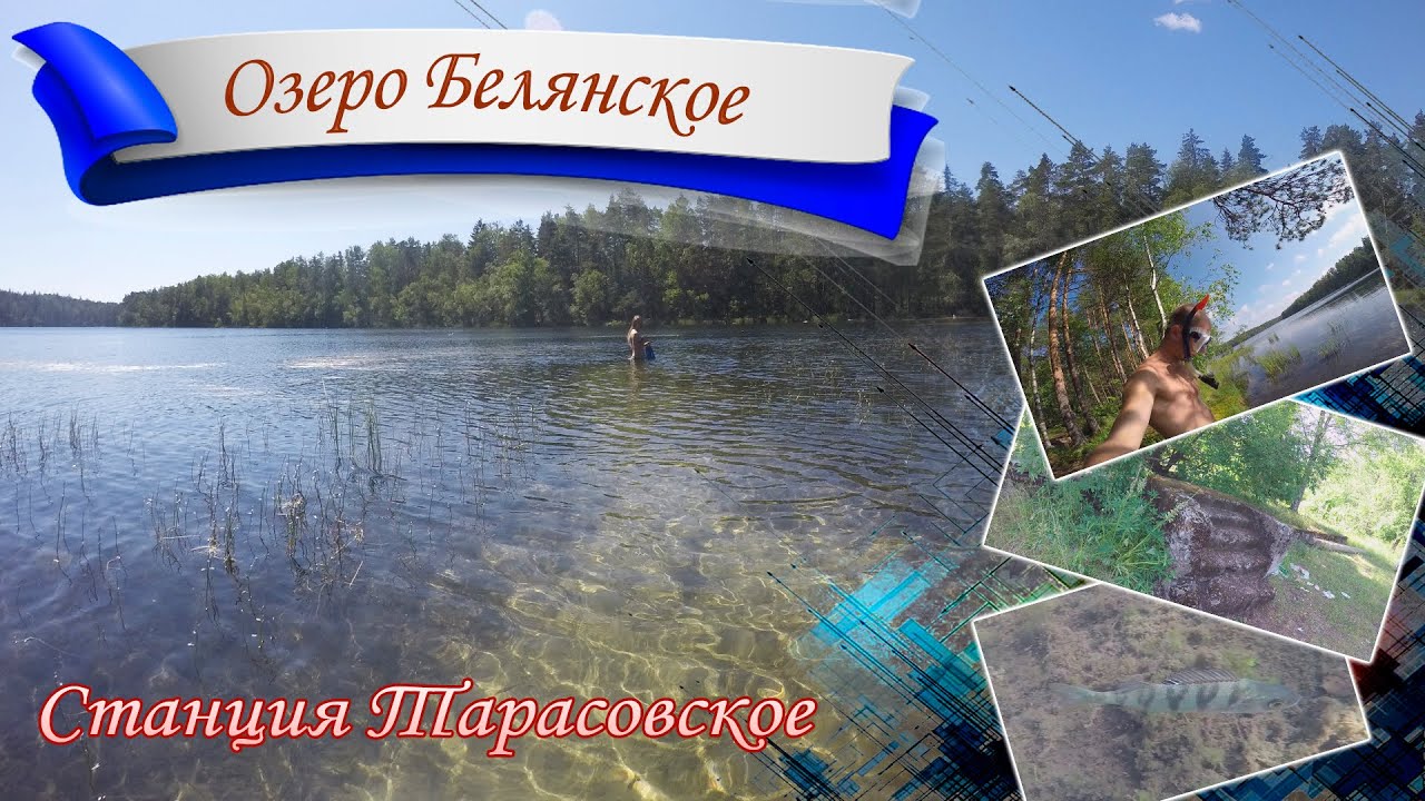 Станция Тарасовское и «секретное» озеро Белянское с чистейшей водой. Озёра Карельского перешейка
