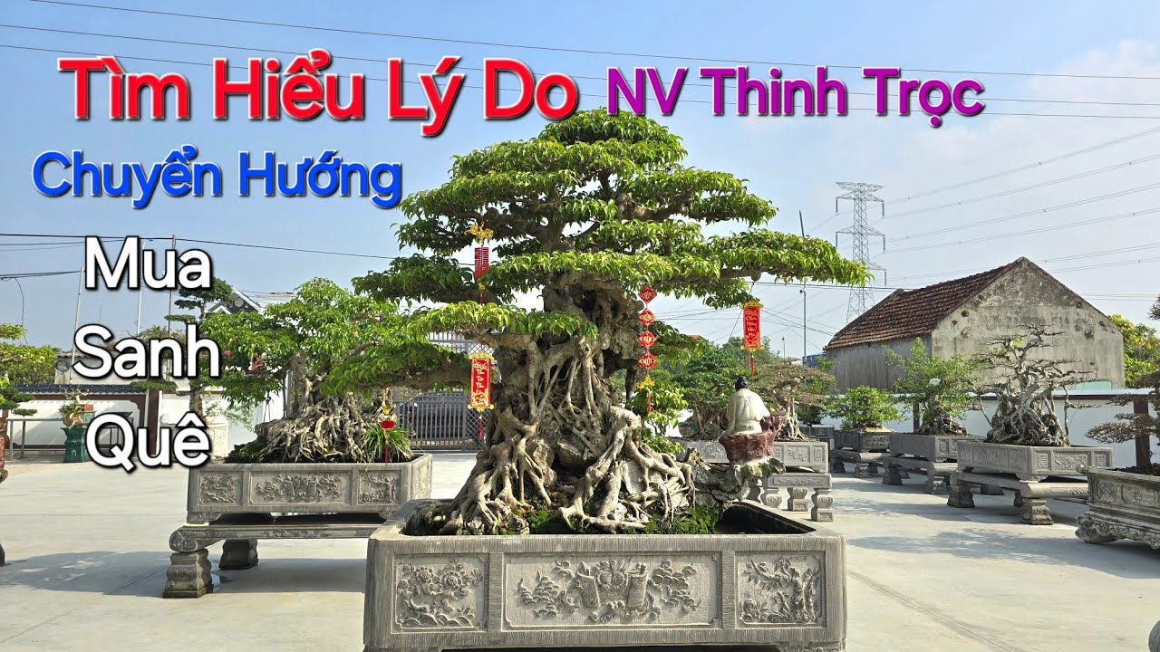 TÌM HIỂU LÝ DO TẠI SAO anh Thinh Trọc CHUYỂN HƯỚNG SANG ĐẦU TƯ SANH QUÊ ? 