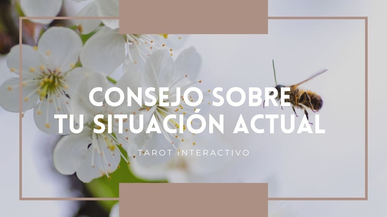 Un consejo sobre tu situaci&oacute;n actual✨🍀 | Tarot Interactivo 🔮