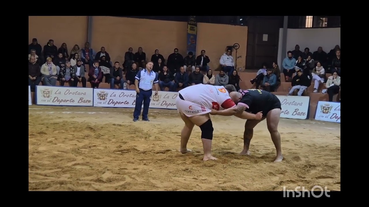 Resumen Adelfas- C.L. Unión Tijarafe-Guanche - Resultado final Adelfas 08- Tjarafe 12. 09/01/26