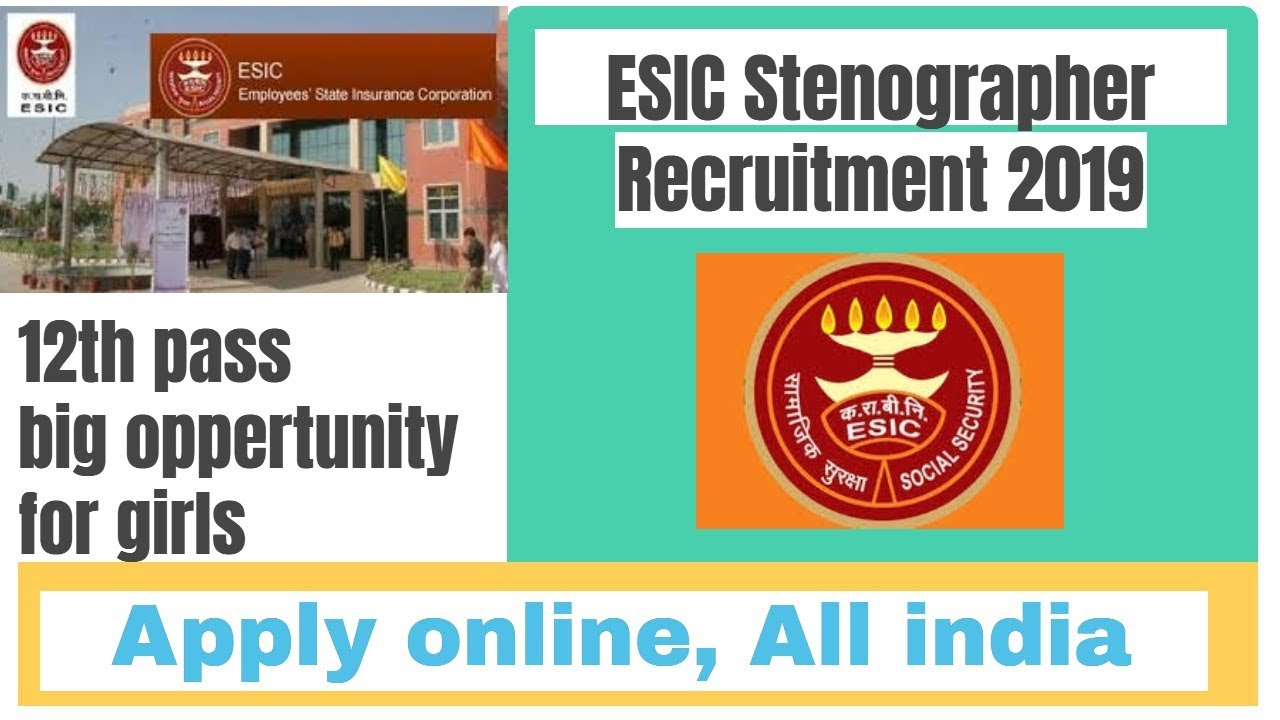 ESIC Stenographer Recruitment 2019 | ESIC Stenographer vacancy 2019 (official jo notification)