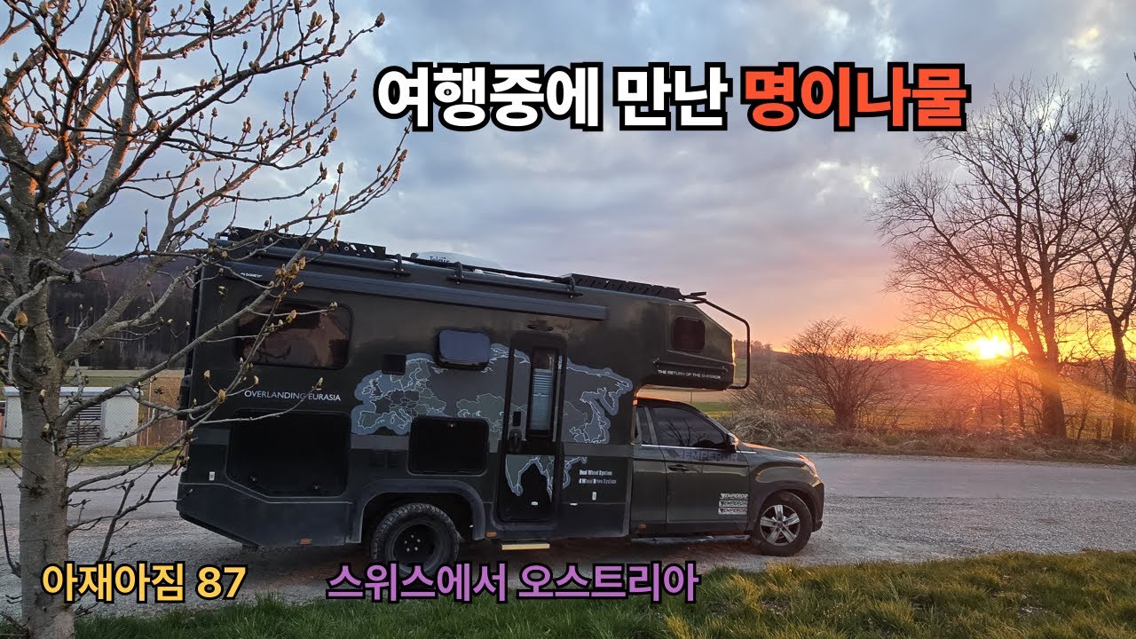 여행중에 만난 명이나물