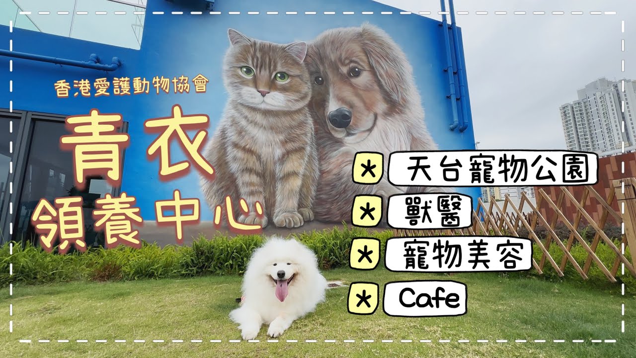【狗狗好去處】一個領養中心，有齊Cafe、獸醫、寵物美容、天台寵物公園，香港愛護動物協會賽馬會百周年紀念中心｜西摩Tako｜@big_dog_channel