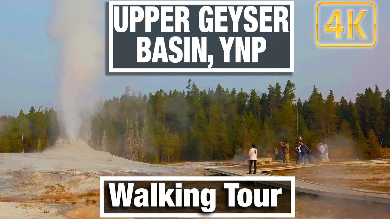 Yellowstone  Walks  - Walking Around Old Faithful Geyser Basin - 4K Virtual Travel Walking Treadmill