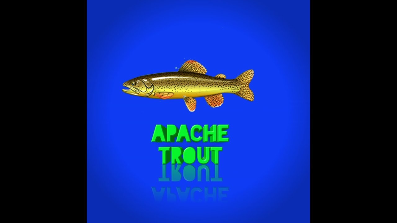 apache trout