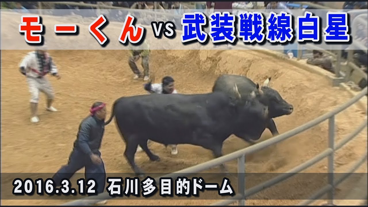 モーくん VS 武装戦線白星 　2016.3.12 (H28)