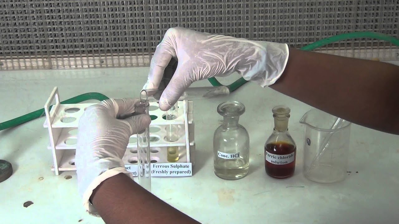 Detection of Nitrogen in an Organic Compound - MeitY OLabs