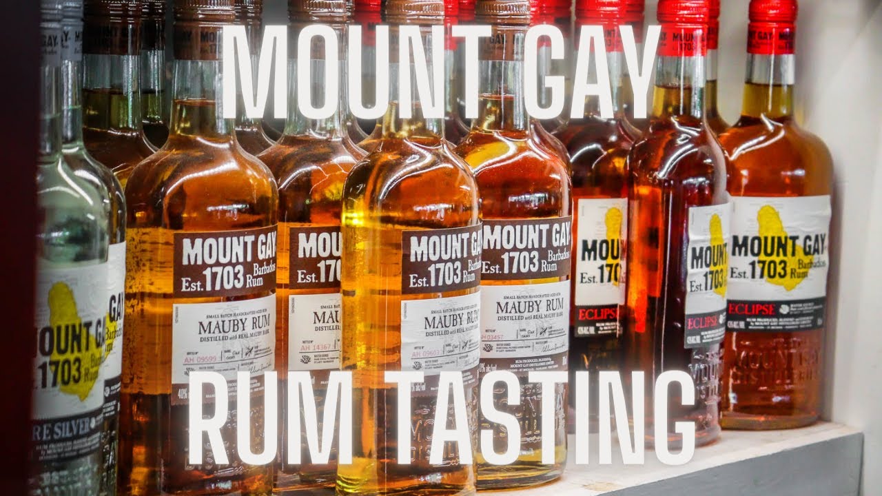 Mount Gay Rum Tour and rum tasting.