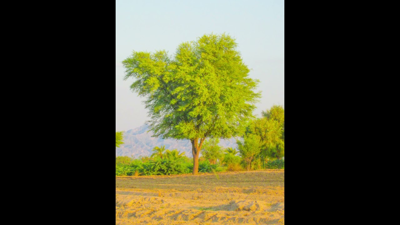 My beautiful village