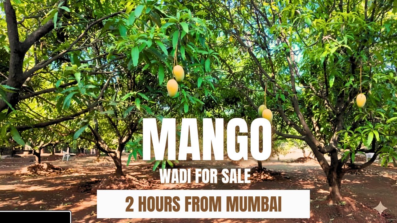 73 Guntha 2 HOURS FROM MUMBAI NEAR ADLAB IMAGICA | MANGO WADI FOR SALE
