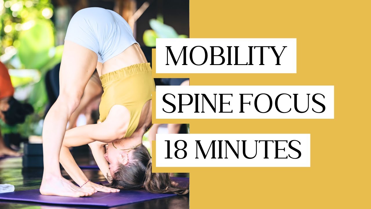 SPINE MOBILITY - 18 MINUTES