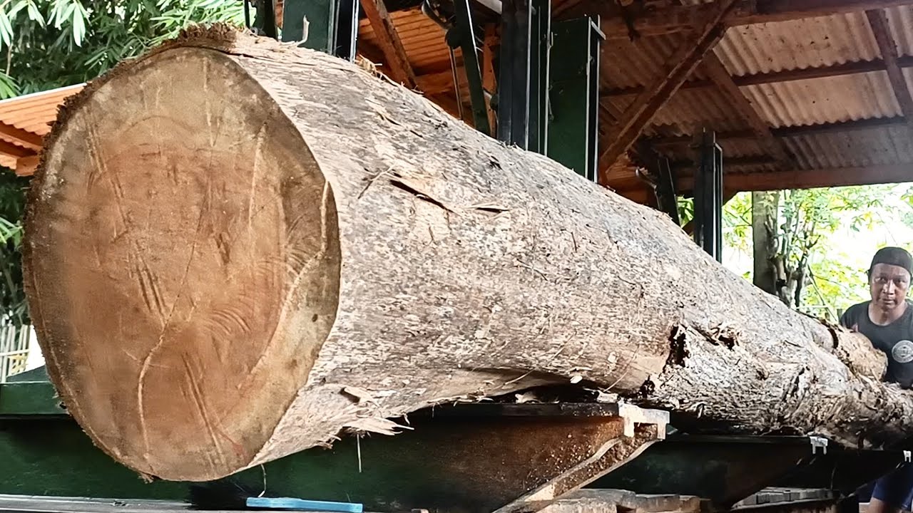 The stunning beauty process showcases the interior Teak Wood Texture at the sawmill