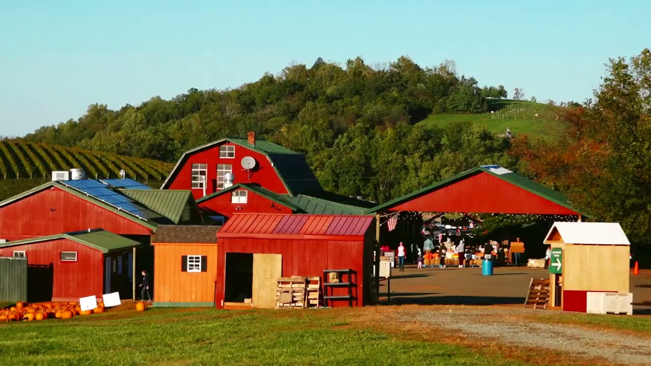 🌄 Breathtaking View of Charlottesville & Blue Ridge Mountains | Carter's Mountain Orchard 🍎