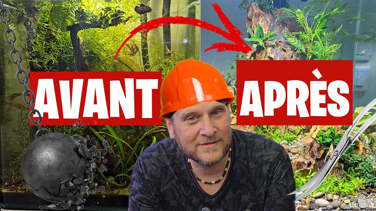 On démonte tout pour repartir sur un vrai aquarium ! - FLORE-AQUATIQUE