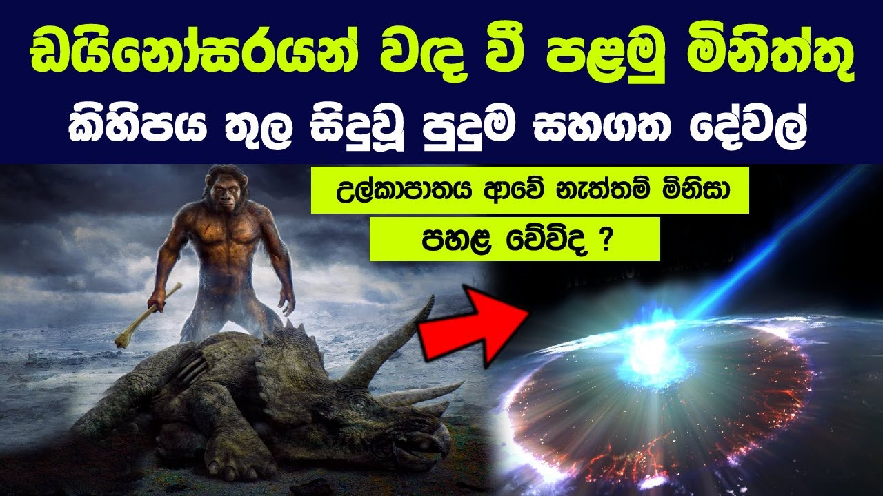 ඩයිනෝසරයන් වඳ වී පළමු මිනිත්තු කිහිපය තුල සිදුවූ පුදුම සහගත දේවල්  | How mammals won the World
