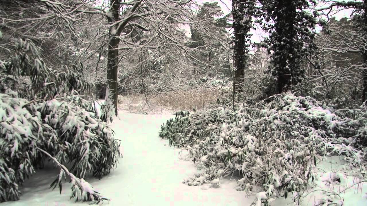 One nights heavy snowfall on Brandon, Suffolk. Part 3 of 3.