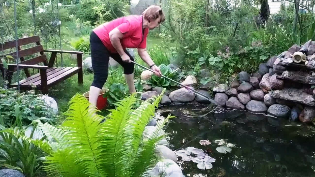 ПРОЗРАЧНАЯ ВОДА в ПРУДУ без финансов и хлопот! 3 простых секрета из личного опыта