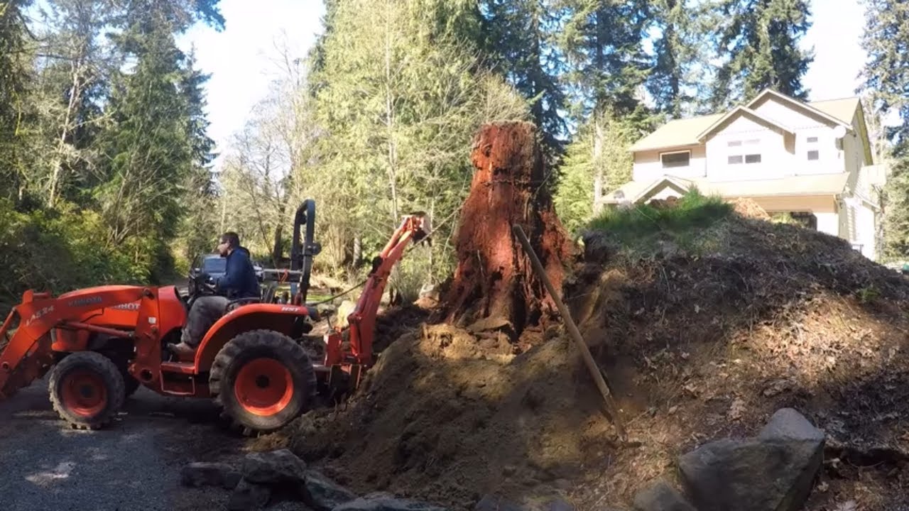 Tractor work, and a BIG Stump