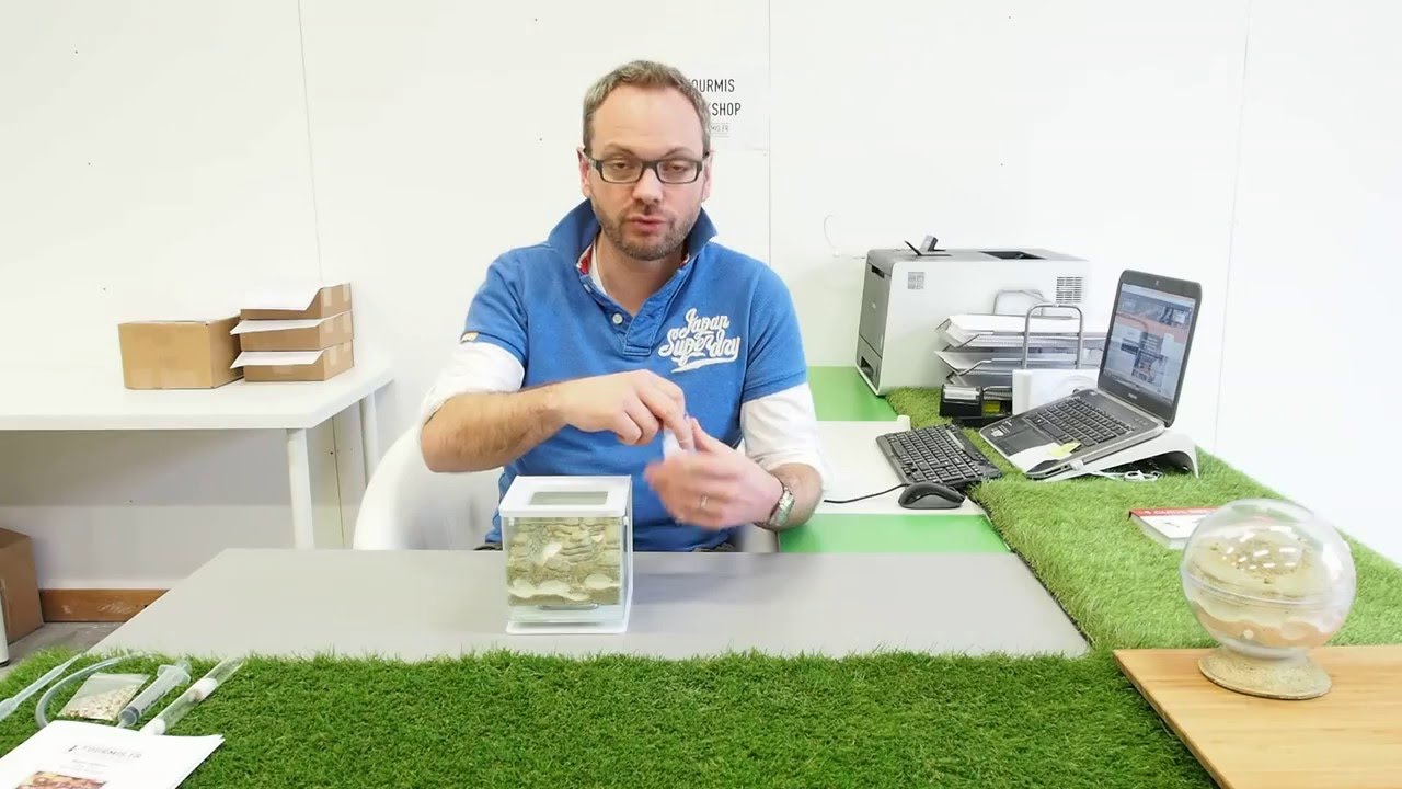 TUTO 2 Fourmis fr  Application anti evasion
