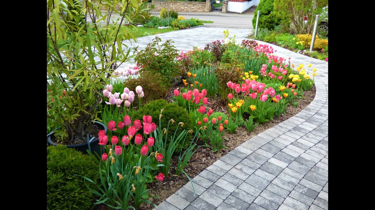 Blumenpracht im Vorgarten  Mai 2021