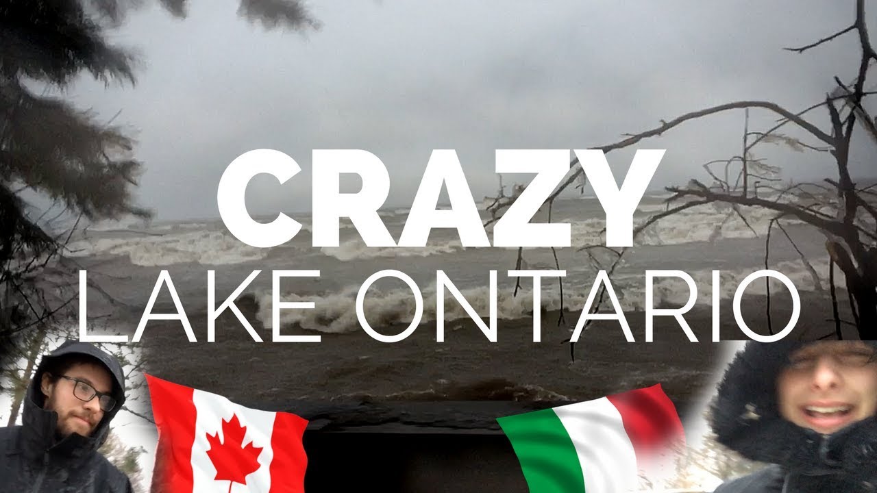 Chi vuole fare surf sul LAGO ONTARIO???🇨🇦🇮🇹