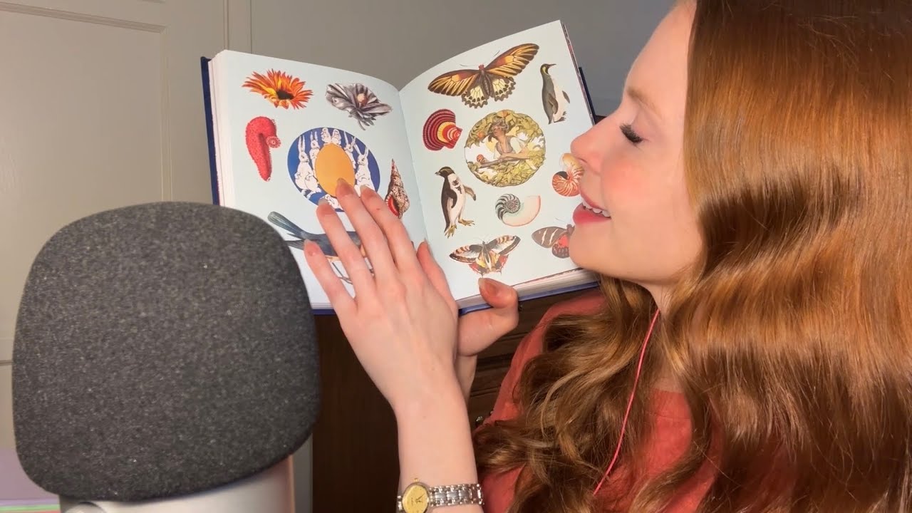 🌿ASMR🌿 Sticker Book Show & Tell — 100% Whispered w/ Tracing + Tapping
