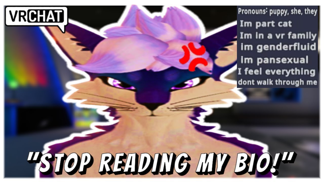 Reading The Most Insane Bios Ever | VRChat Trolling