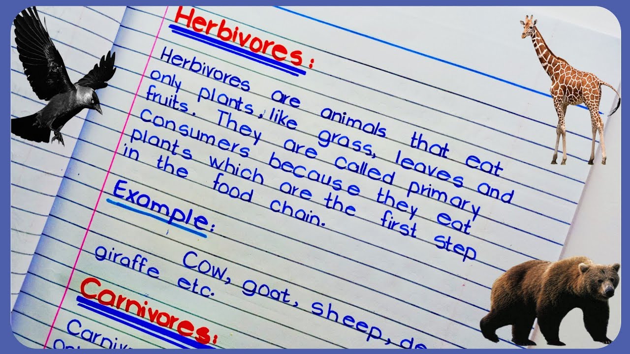Herbivores, Carnivores Omnivores Animals | Definition of Herbivores,Carnivores and Omnivores Example