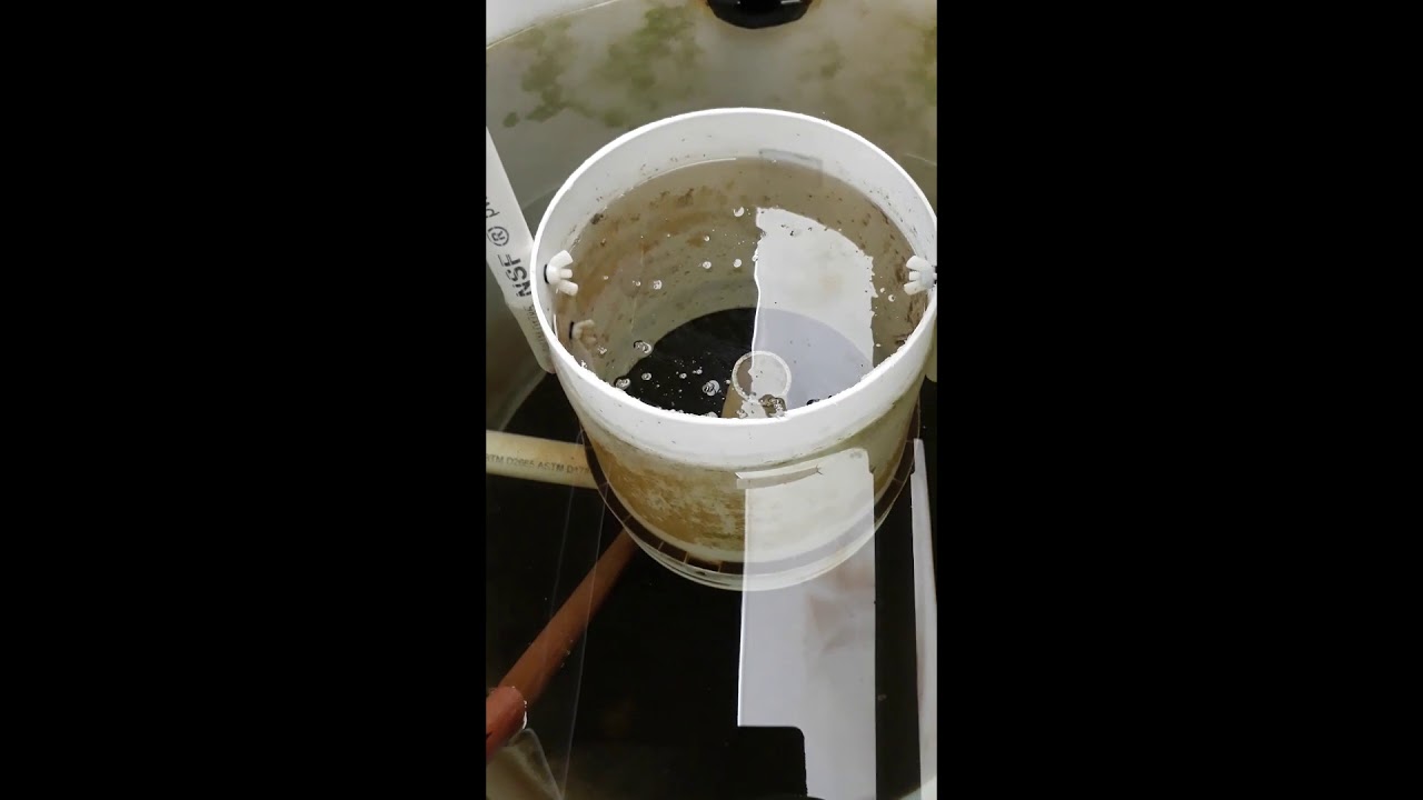 Sludge Sample Collection
