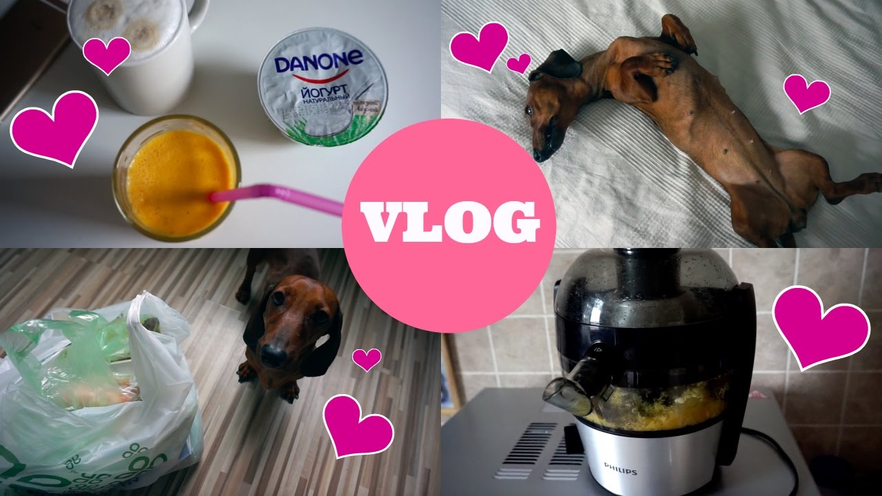 VLOG | У МЕНЯ ДОМА, ЧТО Я ЕМ, МОЯ СОБАКА, БЫТОВУХА