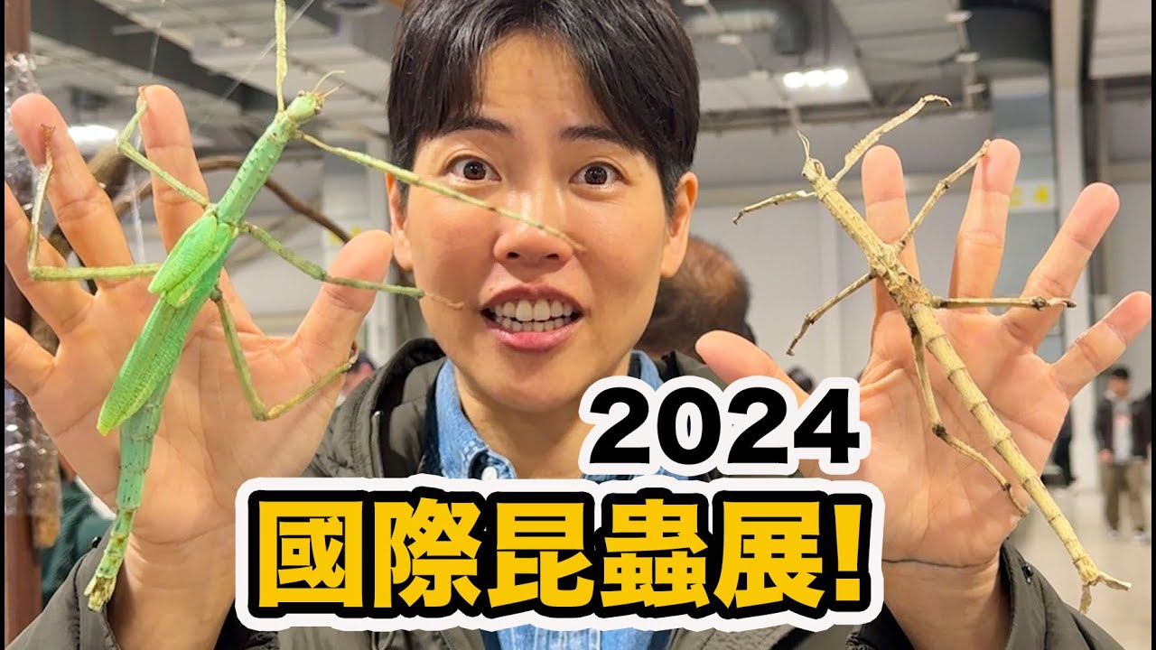 世界最大昆蟲展在台灣!破紀錄甲蟲 毛蜘蛛 蠍子 各種爬寵!擾西噴了五萬多元大豐收!