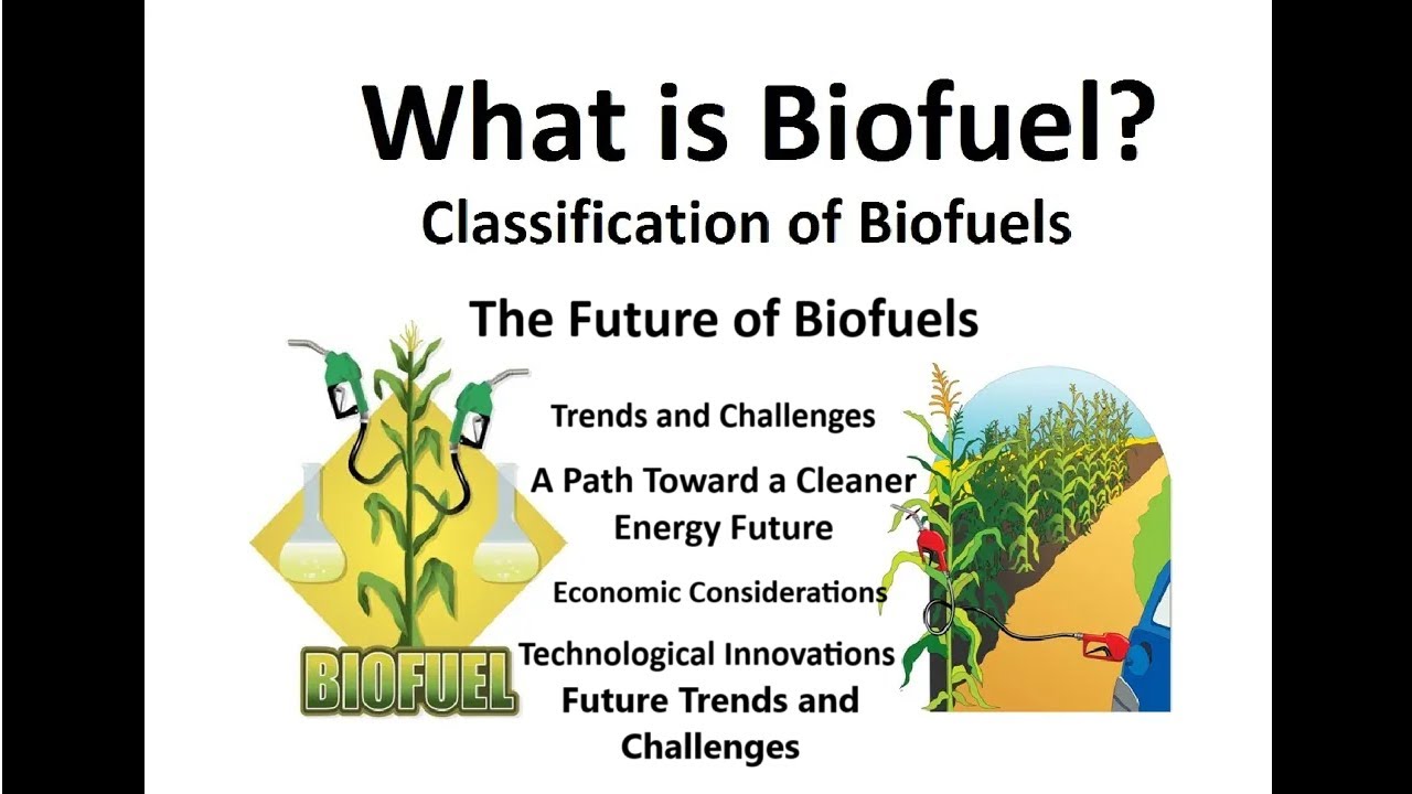Biofuel | Bioethanol | Biodiesel | Bioethanol production | Biodiesel production | Biofuel production
