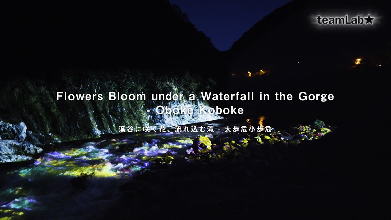 Flowers Bloom under a Waterfall in the Gorge - Oboke Koboke / 溪谷に咲く花、流れ込む滝